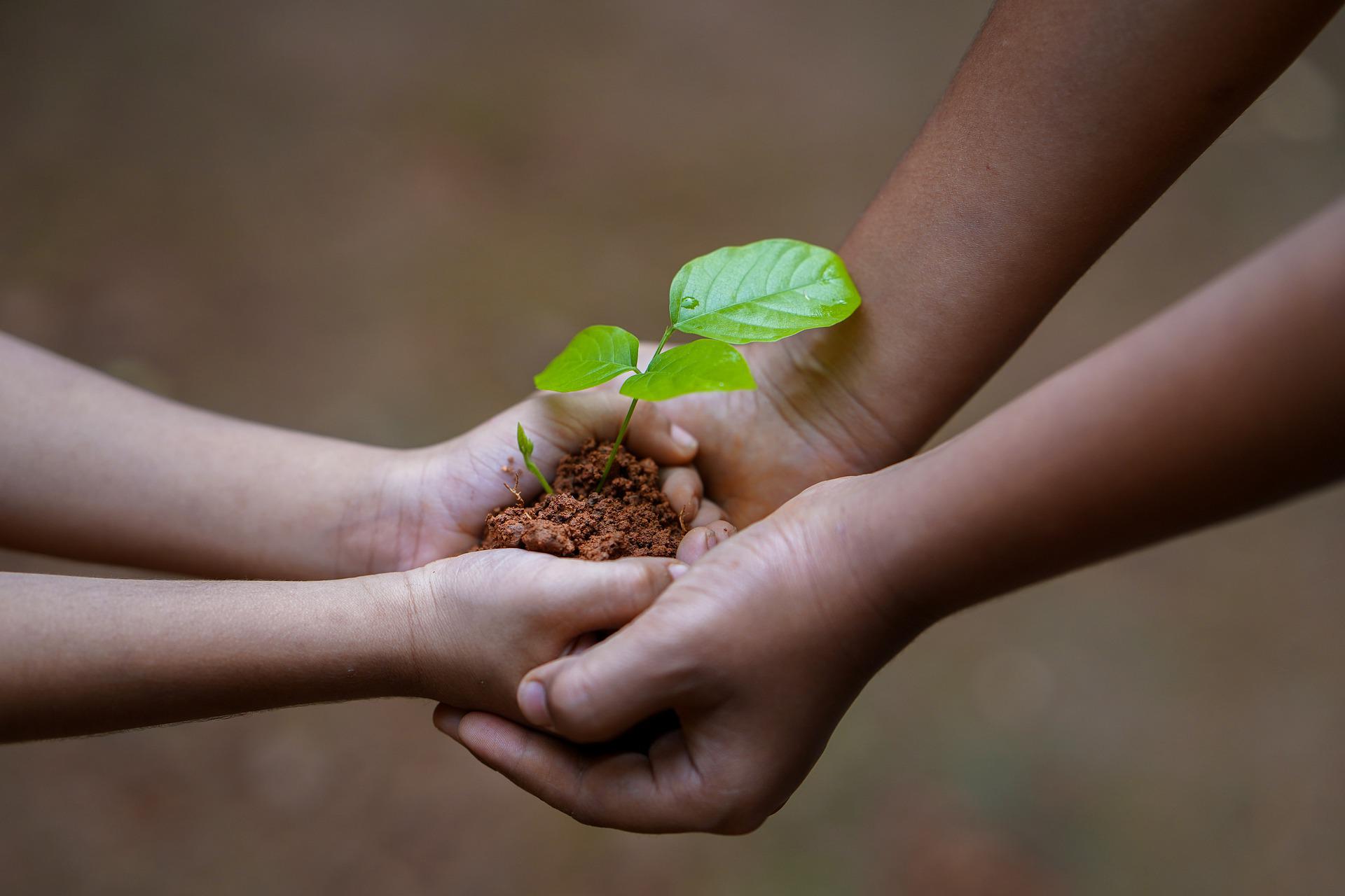 hands-g70764546f_1920